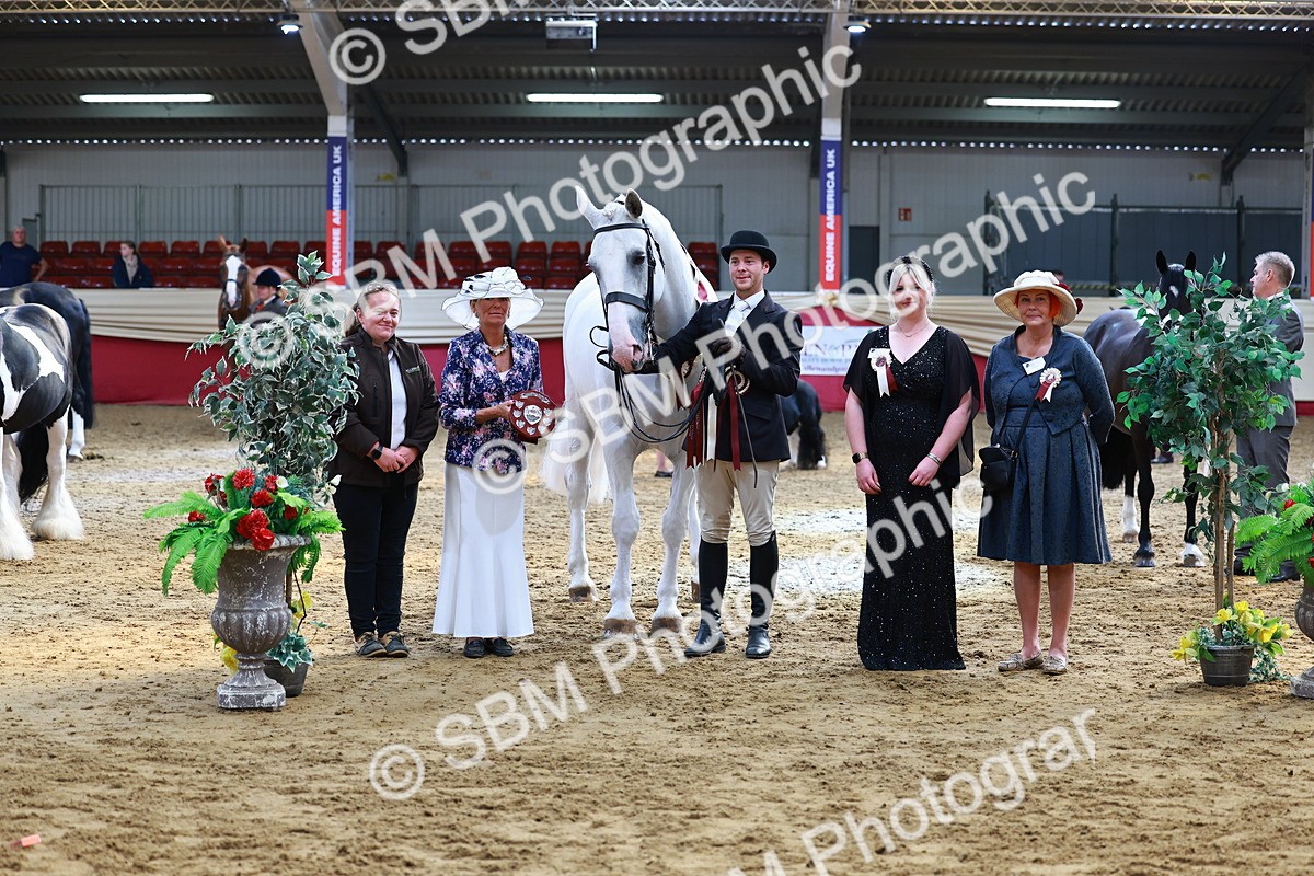 SBM_23280 - Class 903 - Supreme Final - IH Pre Vet