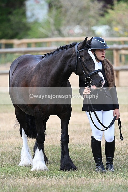 WJ7_1558 - Class 4 Prettiest Mare up to 14.2hh in hand