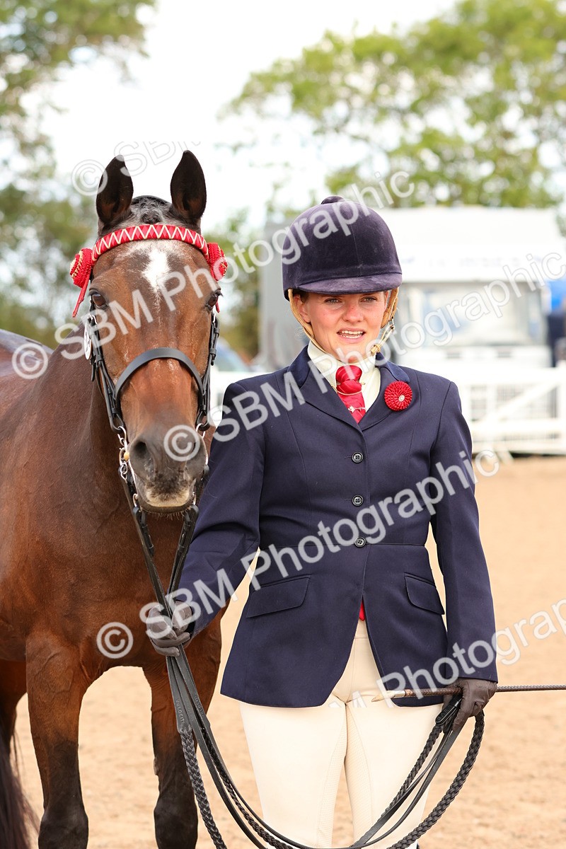 SBM_10211 - Class 205 - IH Show Pony - Show Hunter Pony