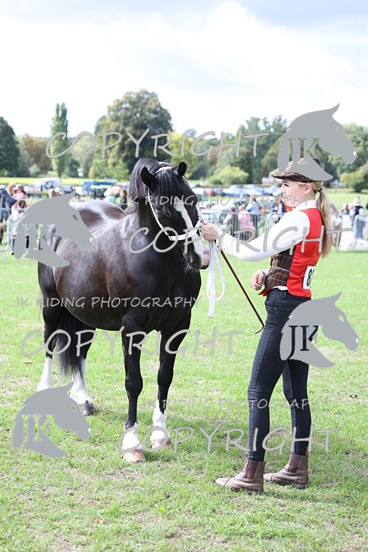 APP_2953 - Class 10a/b M&M in hand