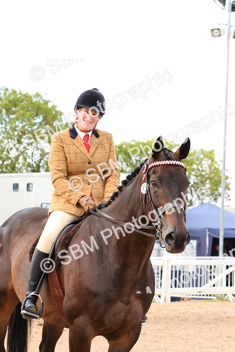 SBM_16251 - Class 217 - Ridden Retired Racehorse