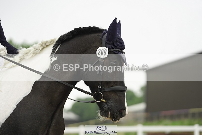 230708A-111418-00890 - Novice 30