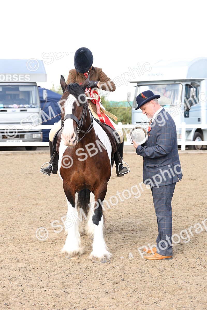 SBM_07412 - Class 58b -  Style & Performance - 70cm (20+)