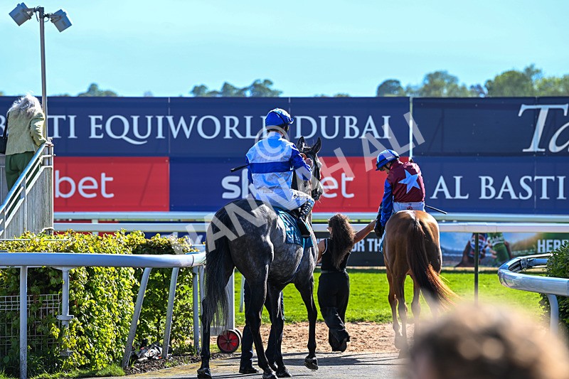 130526-Race 7-Master Builder-3662 - Race 7 5.15pm Stuey Weston & Friends Getting Out Handicap