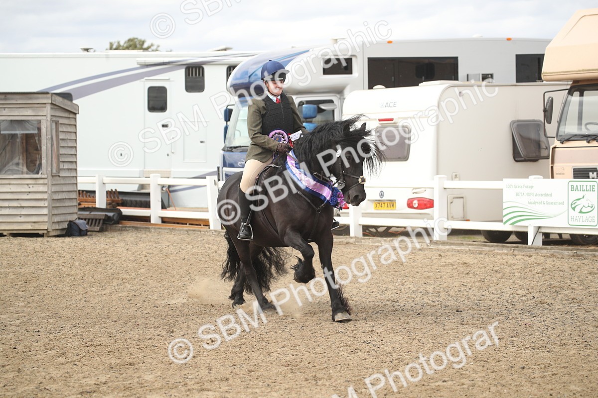 SBM_17794 - Class 508a - Working Veteran 70cm (15-19)