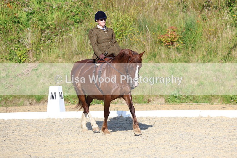 3E7A3472 - Class 2: Intro 1 2024 Section B