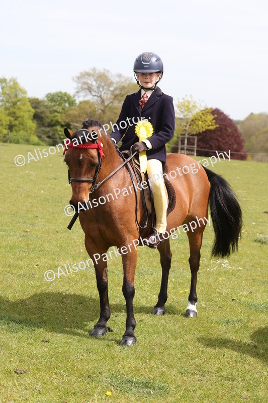 20260426-4015 - Class 33 - Best Pony 14.2hh and Under