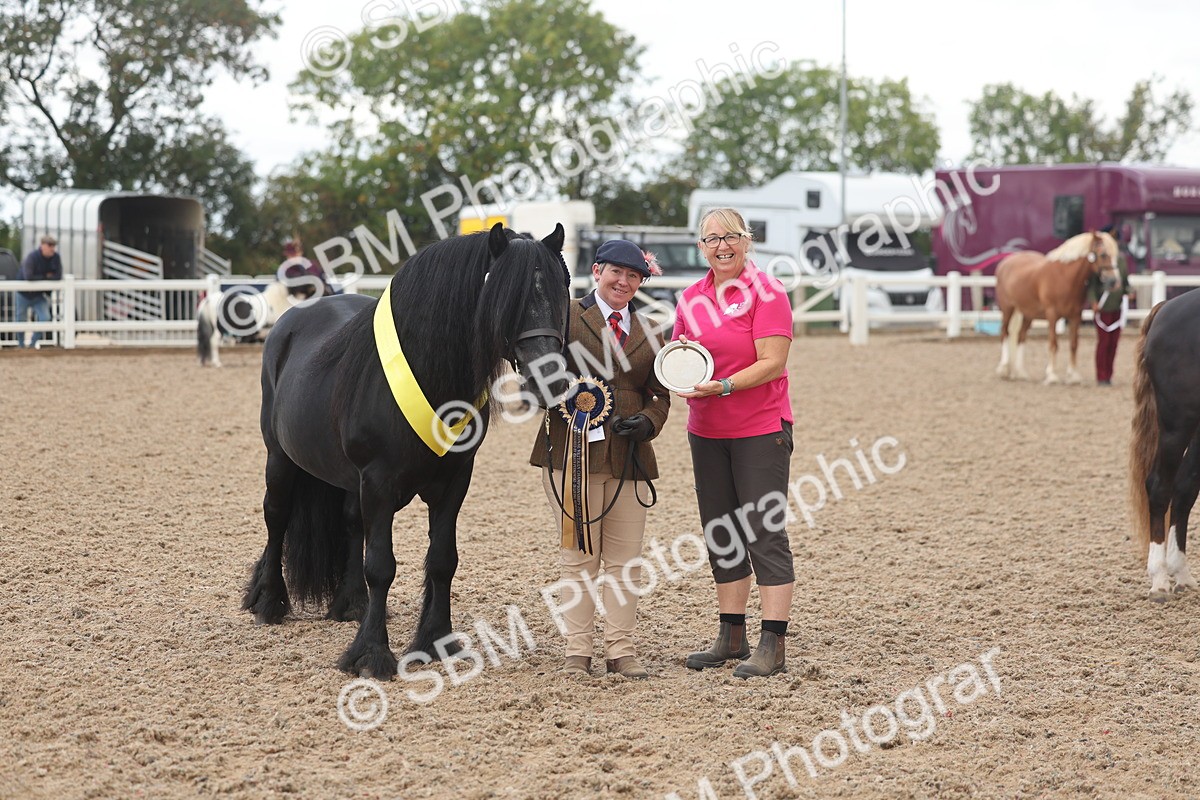 SBM_03290 - Class 16 - IH M&M Wildcard