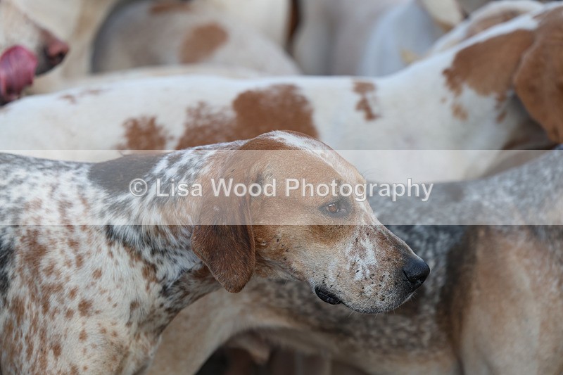 3E7A5321 - FBH Carn Brea 26.12.2025