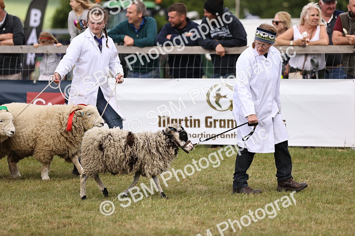 SBM_16870 - Grand Parade