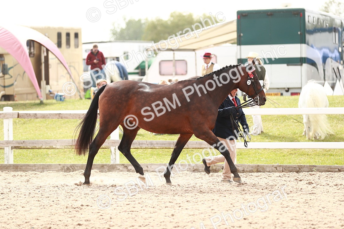 SBM_13187 - Class 208 IH Veteran Horse