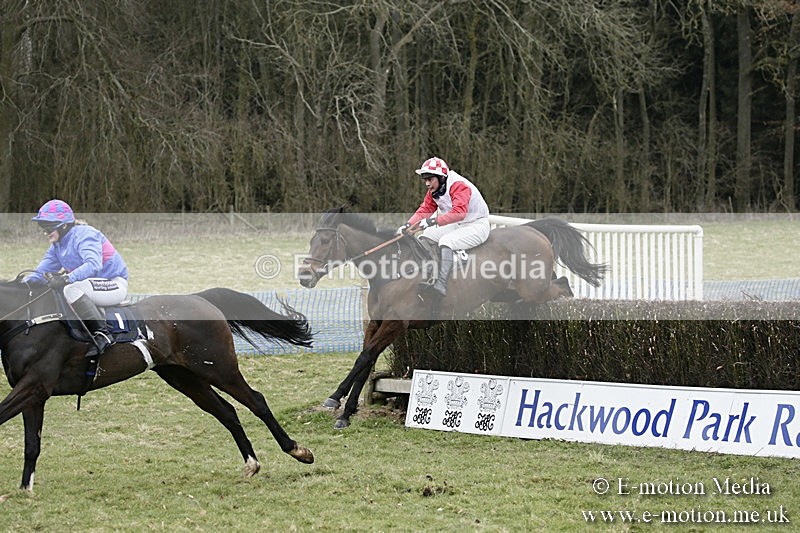 PtP 110318 170 - Hampshire Hunt Point-to-Point Hackwood Park 11/03/18
