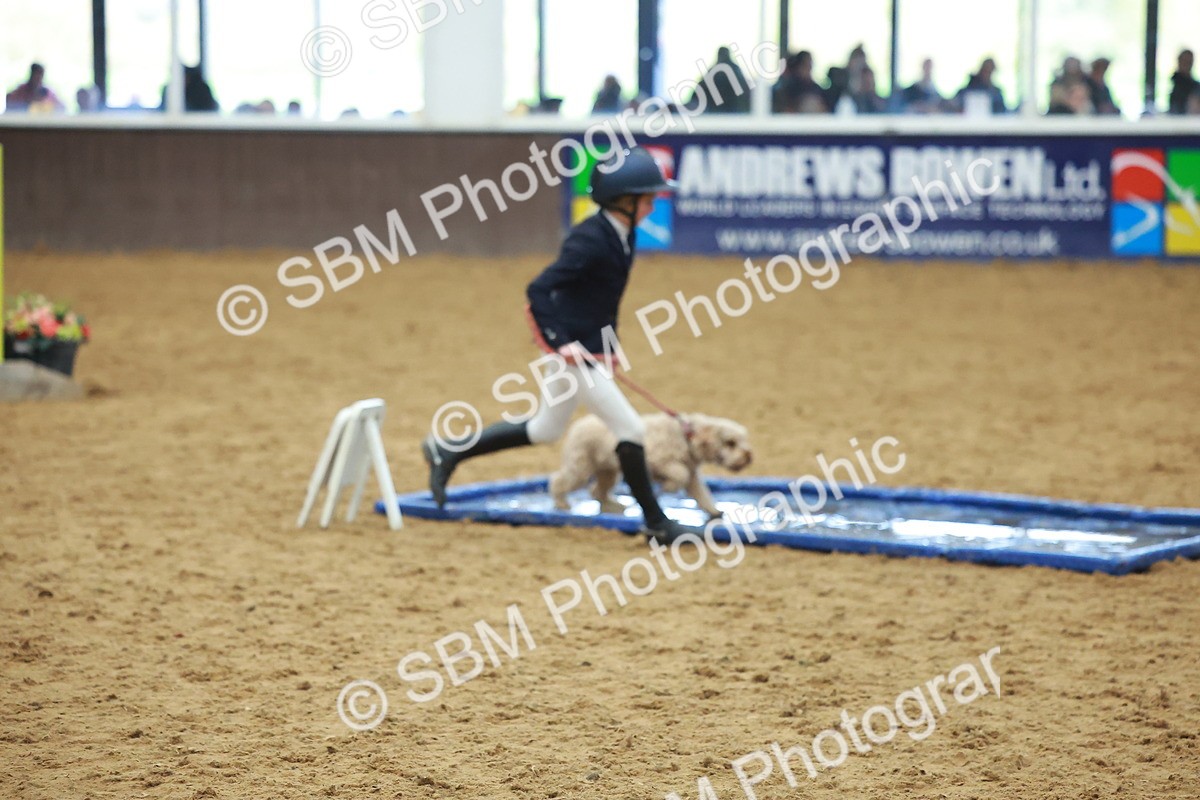 SBM_002510 - Class 3 - Horse & Hound (60cm)