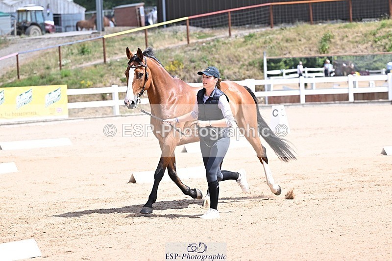 250716-124246-00138 - Trot Up 12.30 to 1.30
