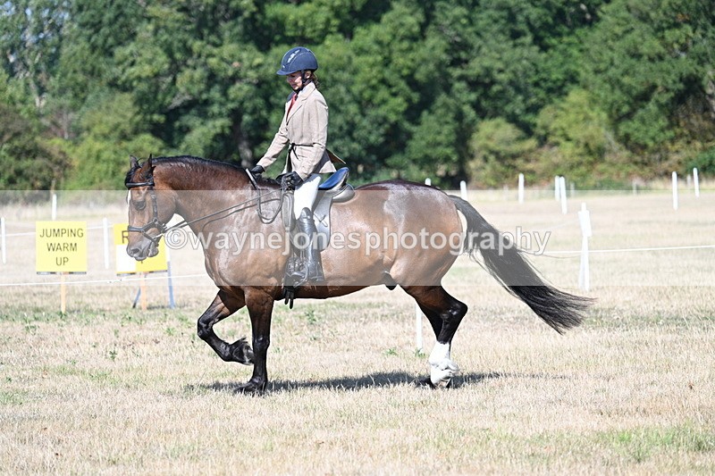 WJ7_3923 - Class 9 Mountain & Moorland Ridden