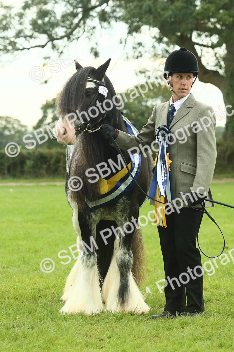 SBM_75180 - Super Supreme Championship