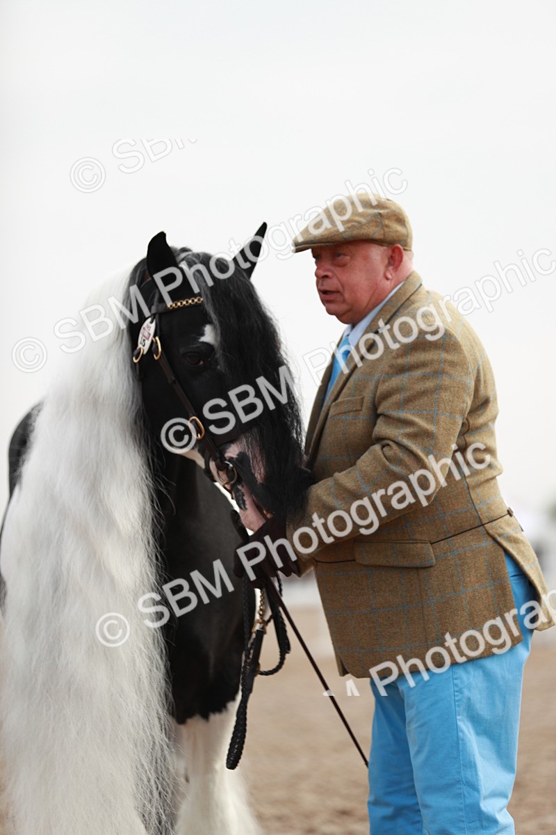 SBM_09516 - Class 201 Best Turned Out IH