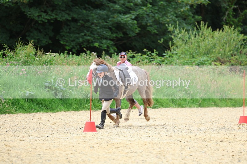 3E7A9385 - Walk trot run