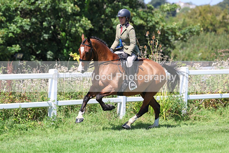 3E7A9231 - Working Hunter Championship