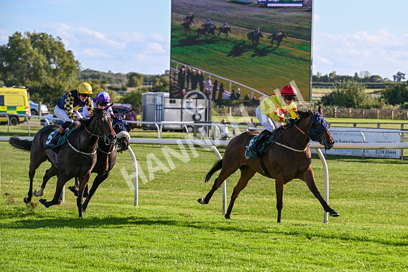 300926-Race 5-Vince Le Prince-6750 - Race 5 4.15pm Bet At racingtv.com Handicap (Div II)