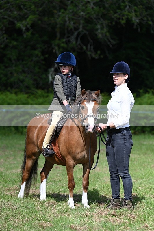 WJ7_0783 - Class 8 First Rally Pony