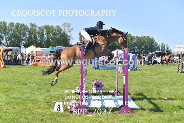 BPP_7037 - CLASS 2 The Ron Brady Sporthorses RHS Classic Championship Qualifier