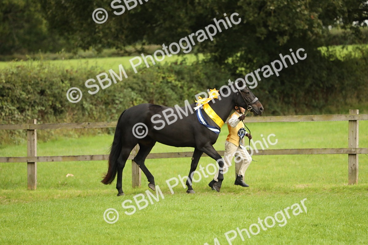 SBM_75415 - Equitation Supreme Championship