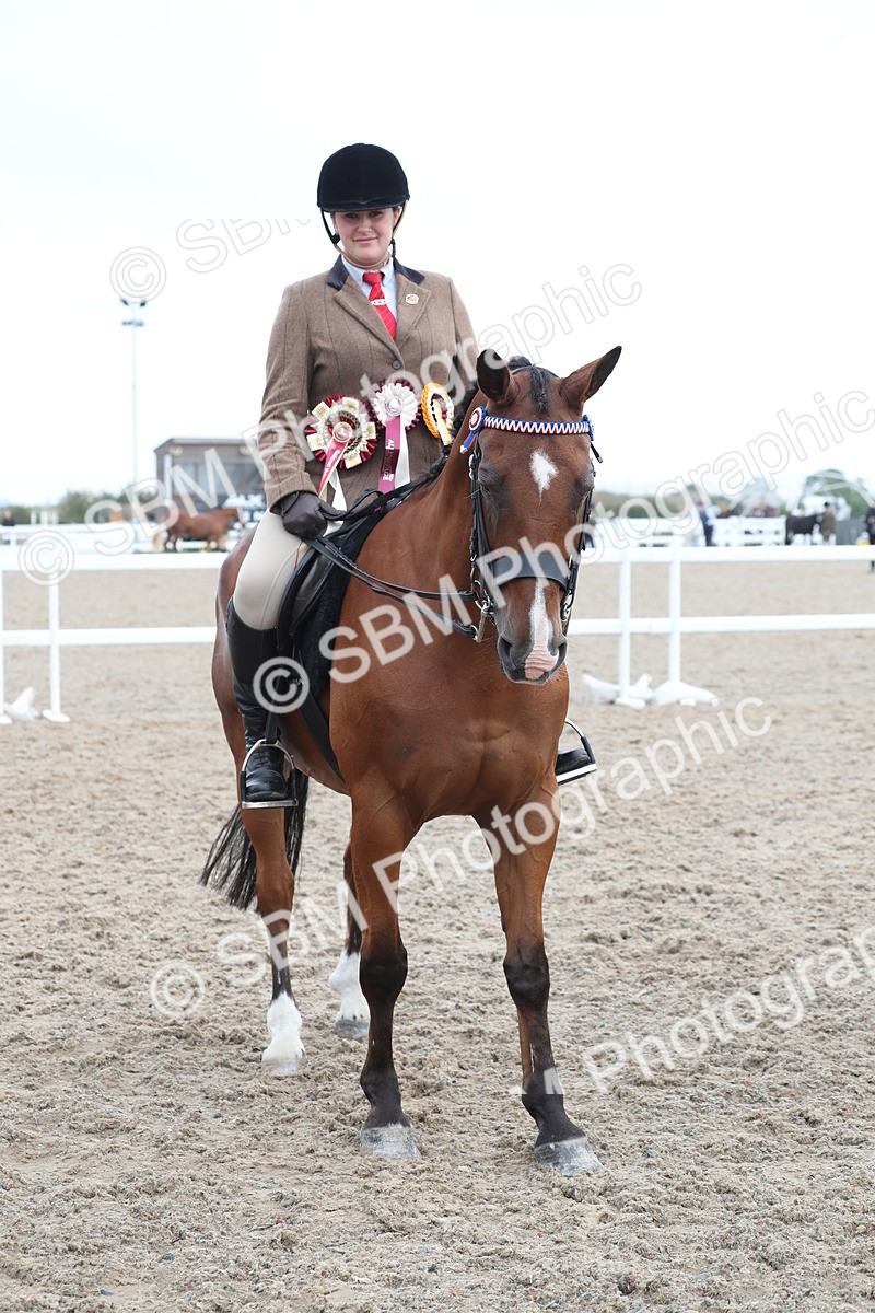 SBM_21667 - Class 602 - 2025 Area - Ridden Veteran
