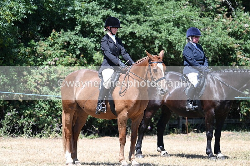 WJ7_2913 - Class 7 Riding Club Show Horse