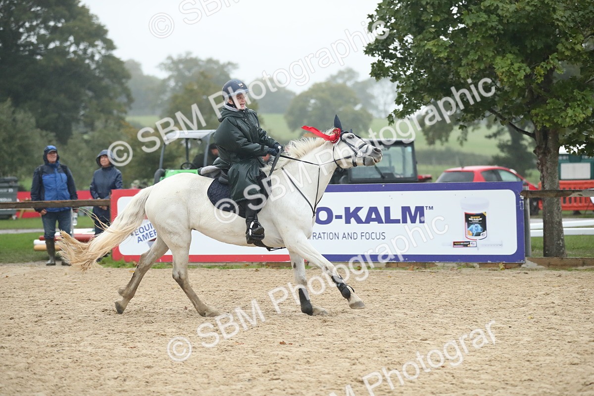 SBM_74362 - Supreme championship Junior Pony 70cm 75cm