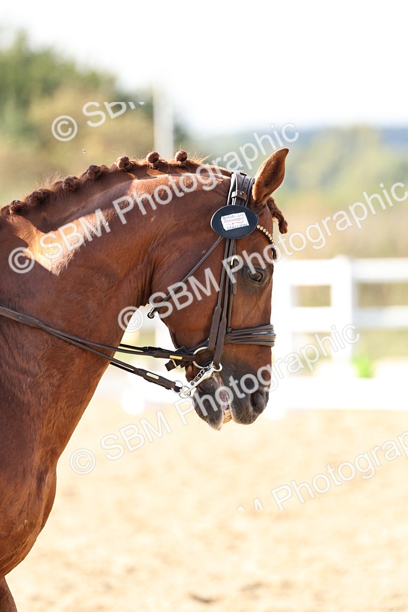 SBM_015364 - Class 9 - Advanced medium 3