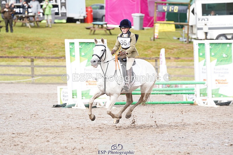 240824X-102048-22786 - 70cm Round 1 9.30 to 11.10