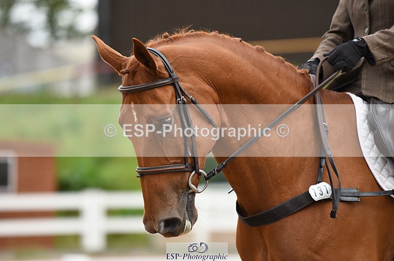 230912A-124524-00903 - Cls 8 Elementary 59