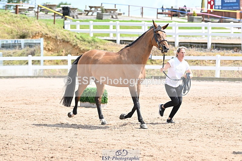 240717A-145112-02345 - Trot Up 2pm to 3pm - This folder is not in time order