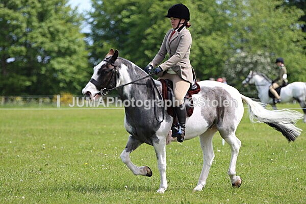 IMG_3302 - Working Hunter