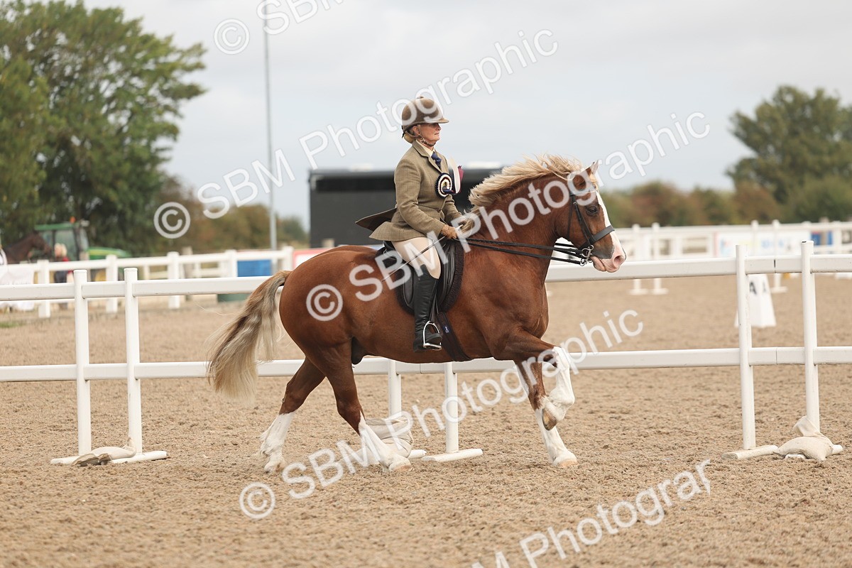 SBM_02039 - Class 14 - Ridden M&M Wildcard