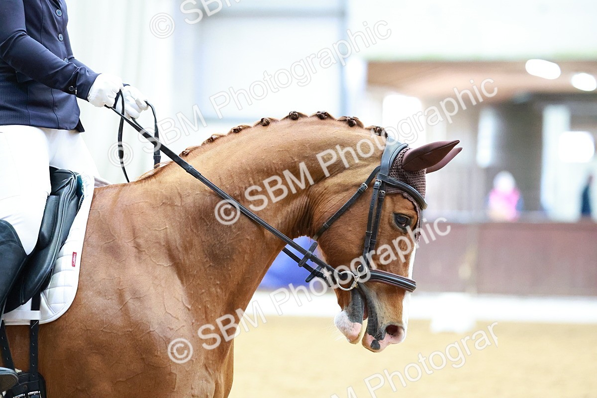 SBM_002636