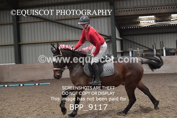 BPP_9117 - CLASS 3 50CM-70CM Pairs Show Jumping
