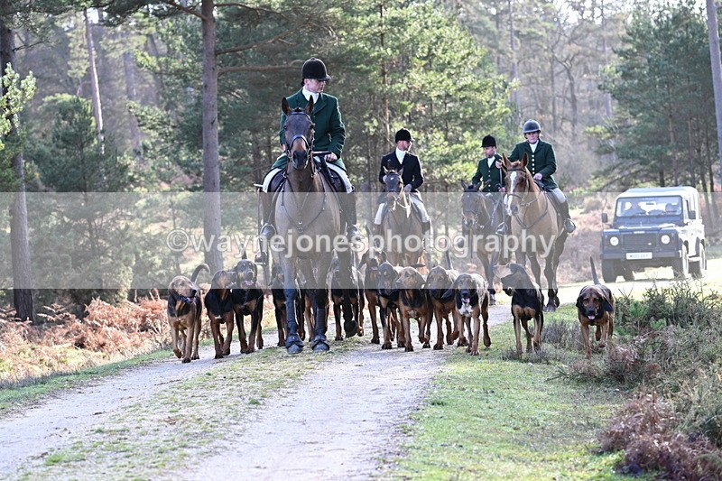 WJ7_7679 - Line 3 (no line 4 or 5)