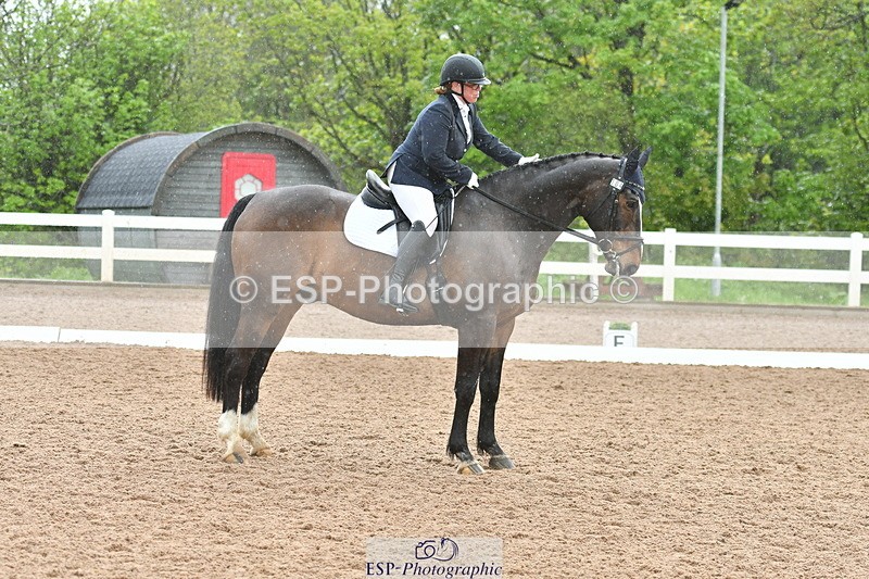 230511A-135501-00872 - BD Cls 13 Adv Medium 91