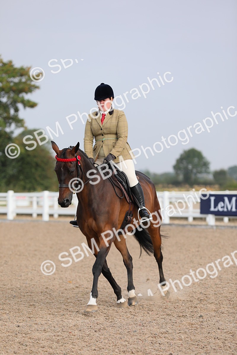 SBM_10680 - Class 303 Ridden Pure Bred Horse/Pony (excl M&M)