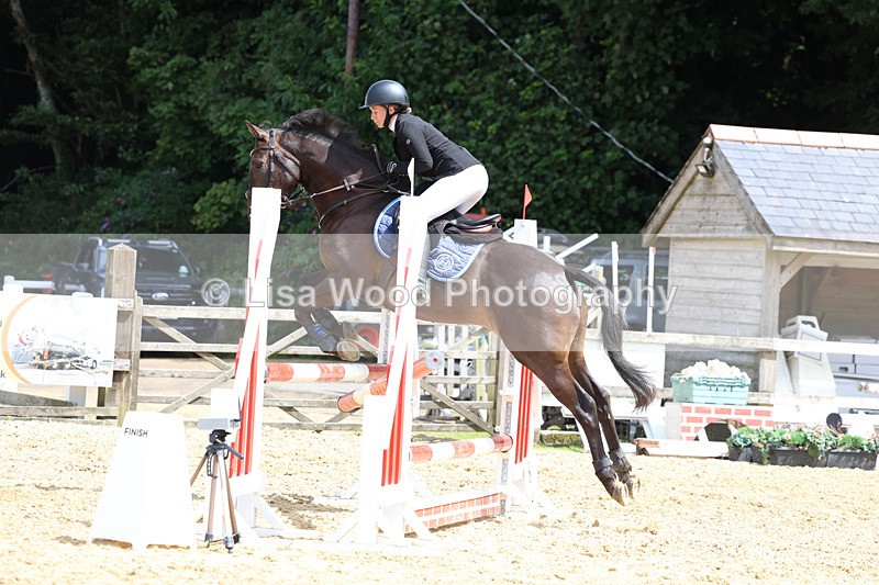 3E7A0252 - Class 9: Senior British Novice/90cm open