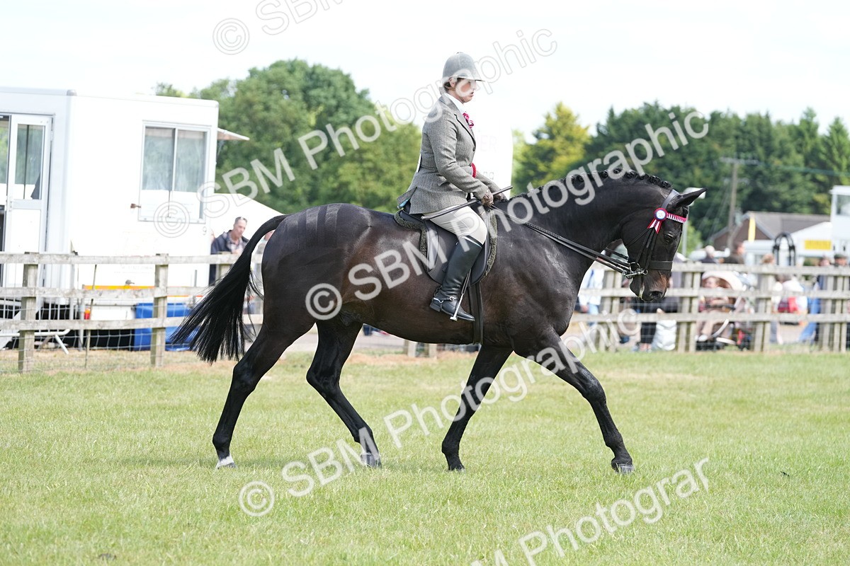 SBM_16289 - Class 105-106 - RIHS Riding Horses