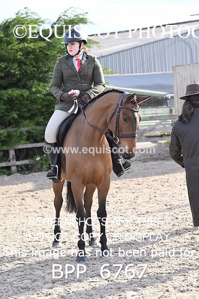 BPP_6767 - RING 1  (RIDDEN HORSES / IN HAND / VETERAN ETC)