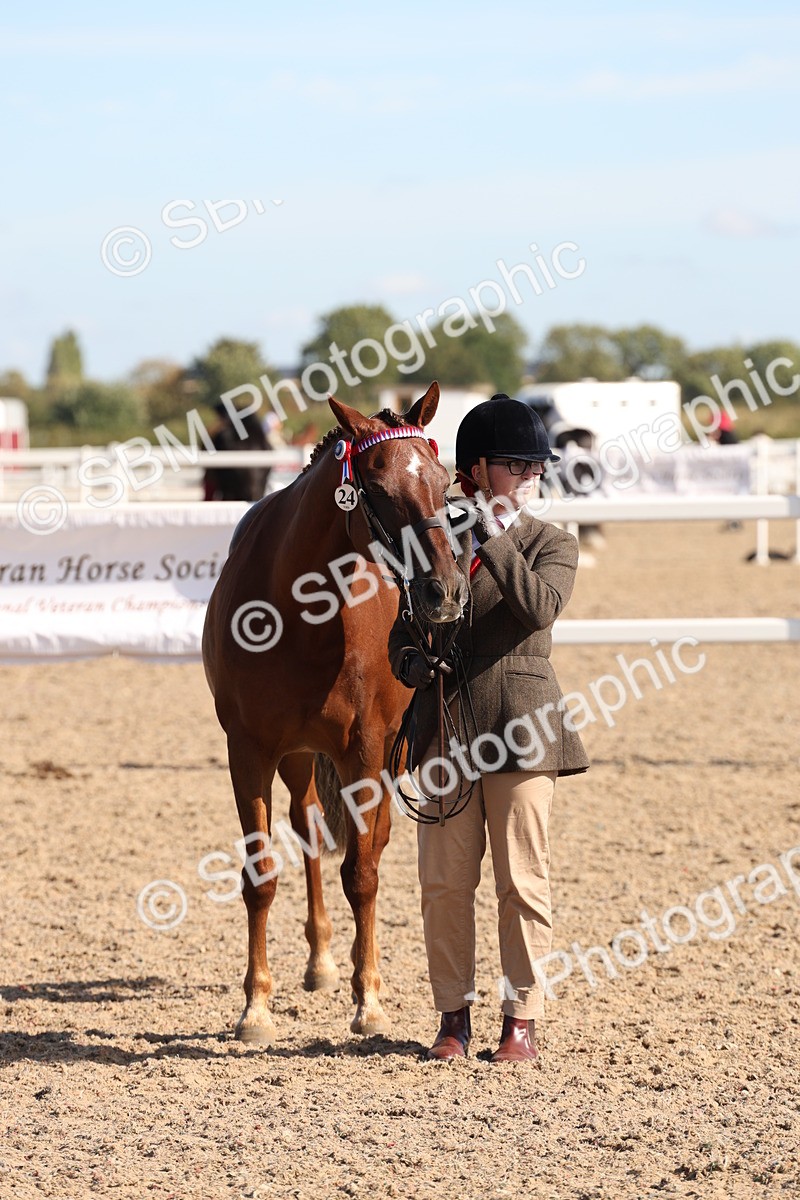 SBM_12834 - Class 205 - IH Show Pony - Show Hunter Pony