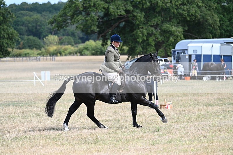 WJ7_6176 - Class 13 Ridden Veterans