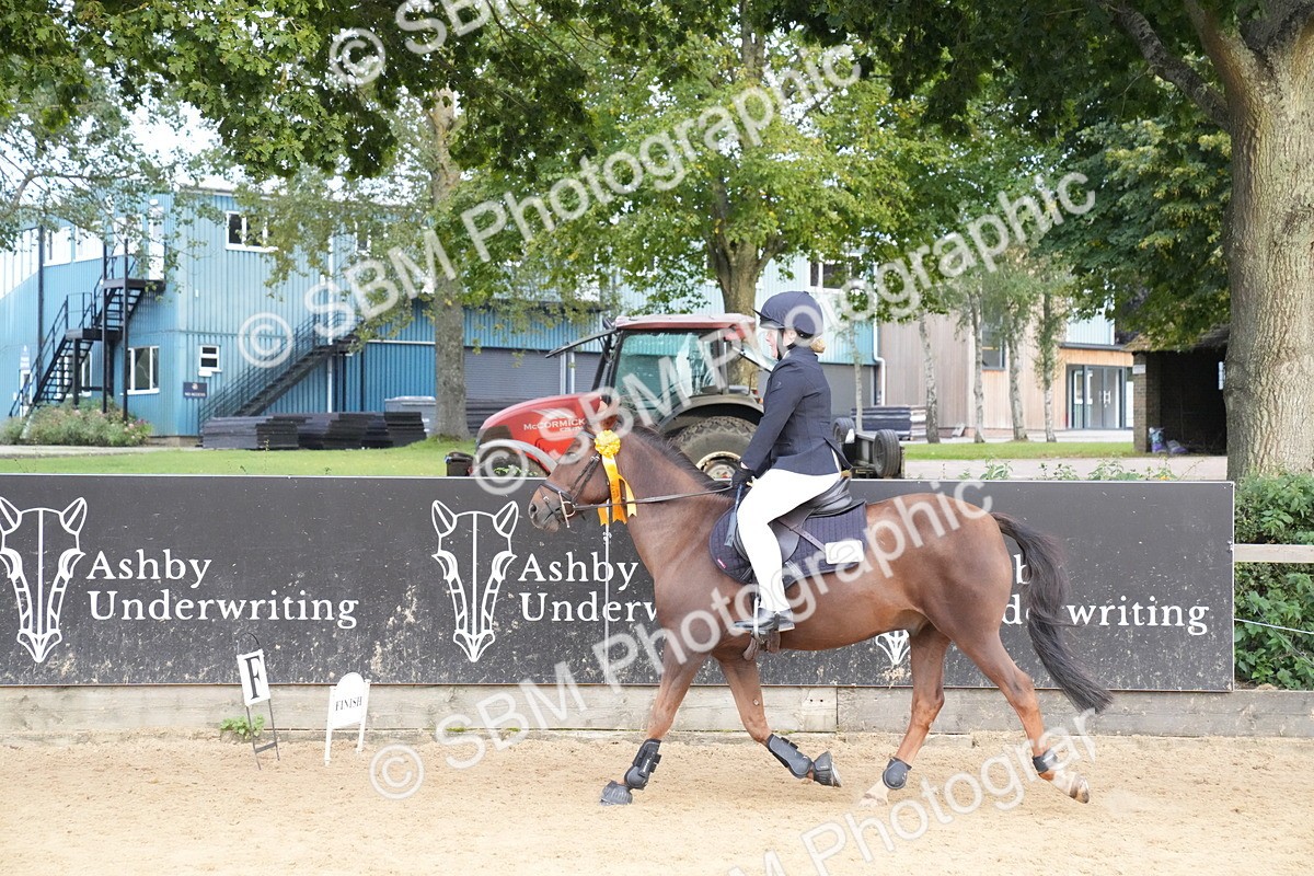 SBM_74965 - J4 - Mini Tour Junior Pony 45cm Championship