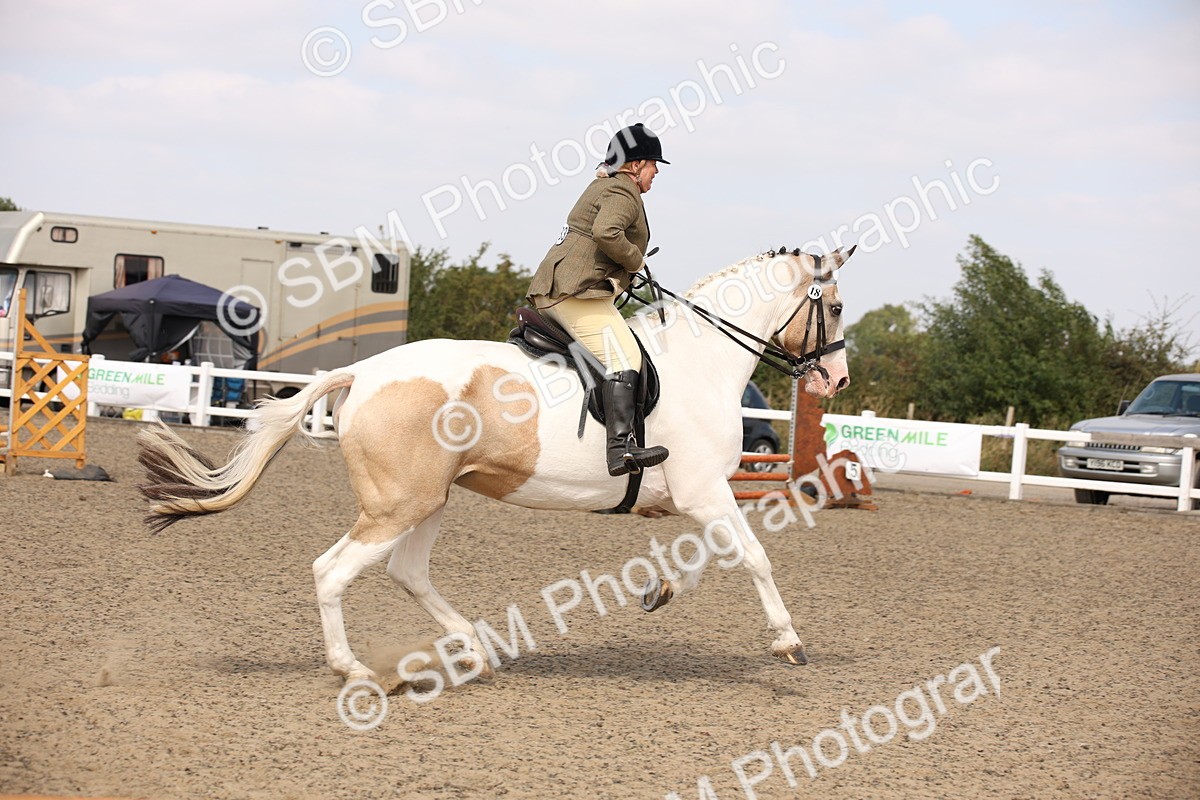 SBM_14208 - Class 407a - Working Veteran 60cm (15-19