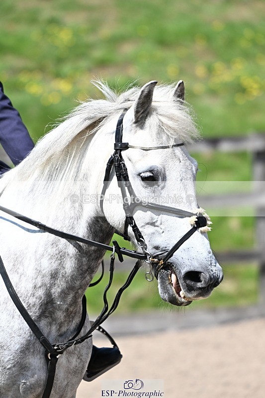 240729B-121437-02614 - Showjumping Competition