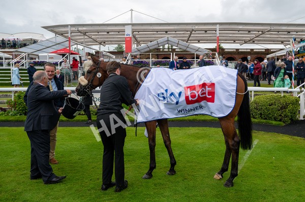 150624-Race 2-Tolstoy-4691 - Race 2 2.25pm Sky Bet Proud To Support Macmillan Handicap